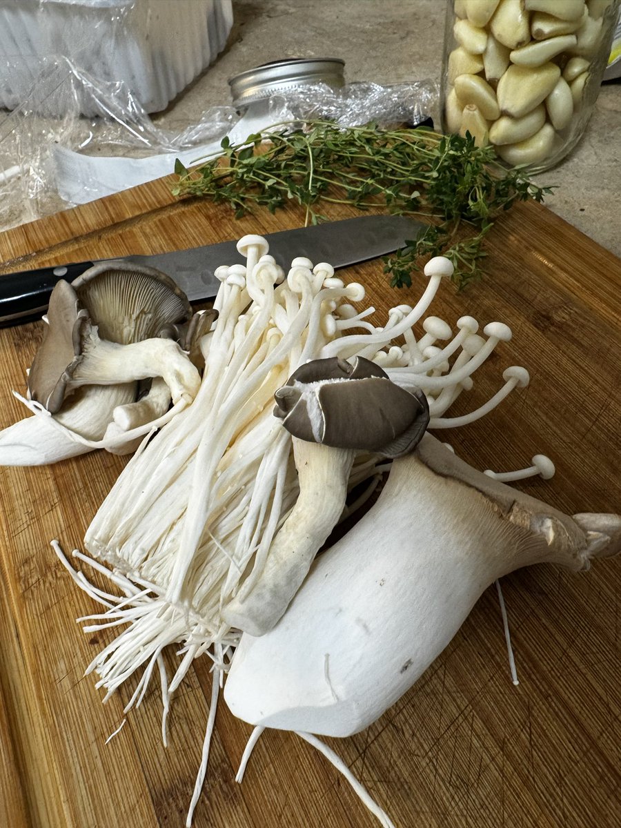 ClearyCattle's tweet photo. Shrooms! 🚀 https://t.co/LupR15uTsL