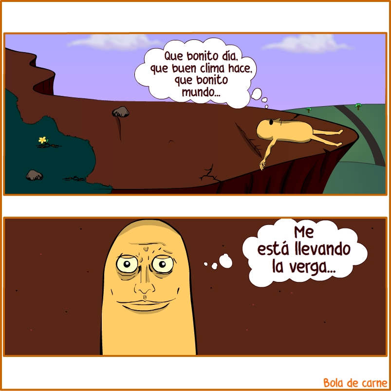 Bola de Carne (@bolacarne) on Twitter photo 