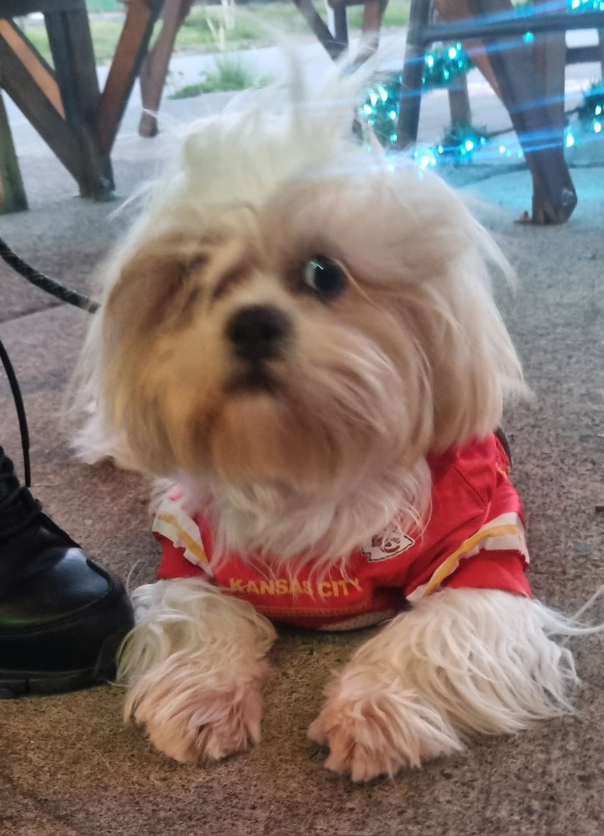 MarzanMX's tweet photo. #tupasecompleto apoyando como siempre a mis @Chiefs https://t.co/b6JPDYnidd
