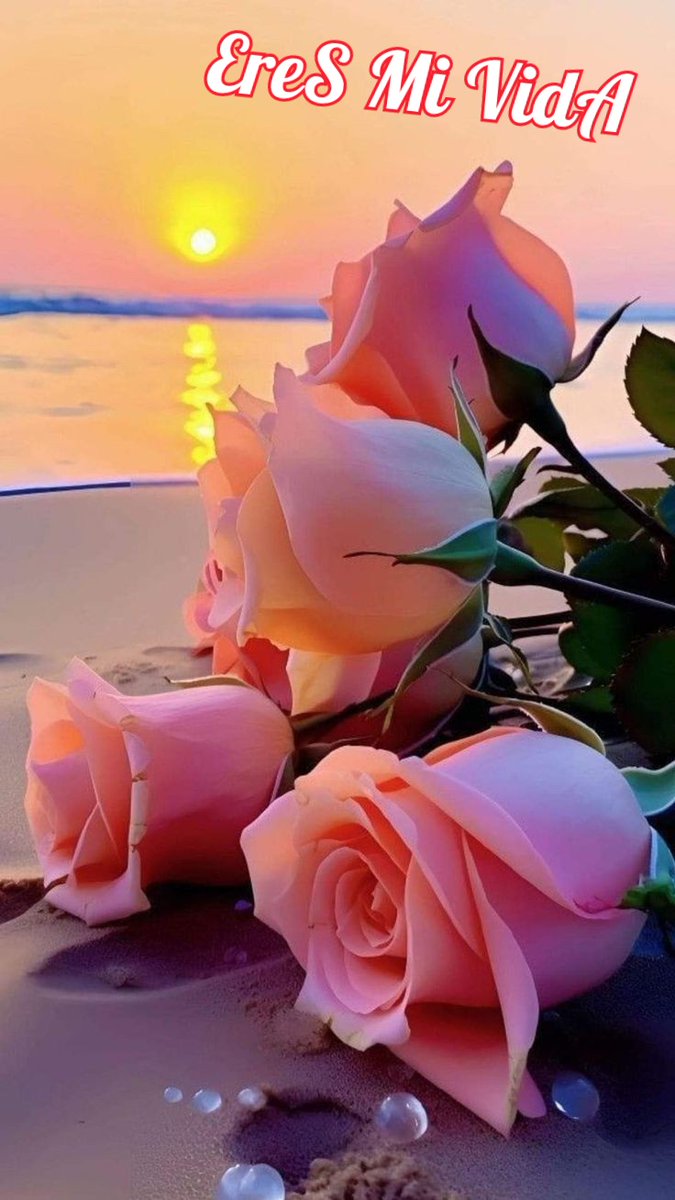 Buenas noches querido grupo lluvias de bendiciones 💛💝💚💛