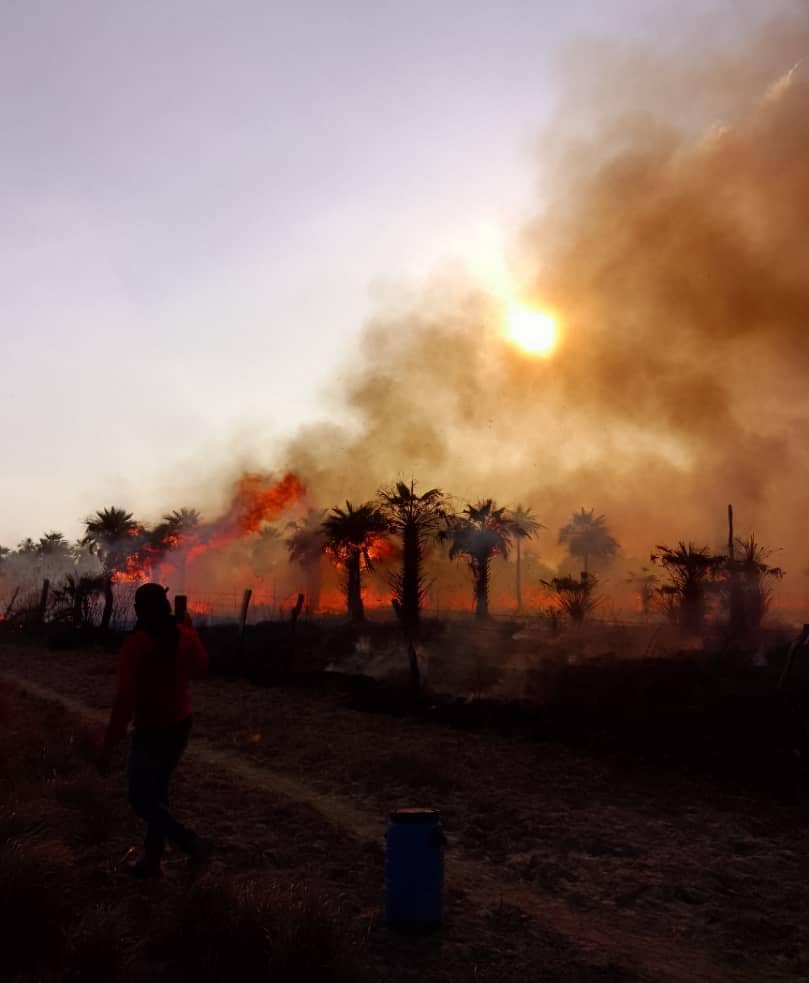 LOS TRAMOJOS desde el día de ayer los sicarios del terrateniente José Elías Chirimelli prendieron fuego a la sábana ocasionando la quema  de todas las tierras poniendo en riesgo la vida animales y humanos.  Denuncia q llega vía el COLECTIVO EZEQUIEL ZAMORA
Justicia ya!!