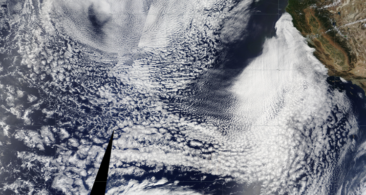 Ehsan_sci's tweet image. Looks like "marine cold-air outbreaks" that occur in extratropics &amp;amp; are characterized by stratocumulus-to-cumulus transition (SCT).
Reminds me of SCTs in eastern subtropical oceans that I've studied.
Check my #JGR paper &amp;amp; #ams2024 talk.
agupubs.onlinelibrary.wiley.com/doi/full/10.10…
#cloud #satellite