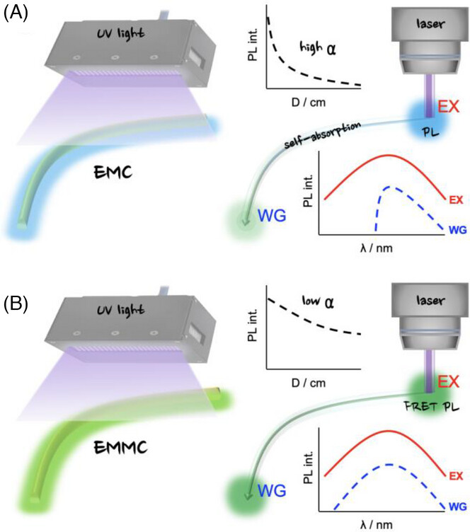 AggregateOA's tweet photo. New Research Article🔬
"Flexible Förster resonance energy transfer-assisted #optical #waveguide based on elastic mixed molecular #crystals" by Shotaro Hayashi et al. @k_u_t_official @Wiley_Chemistry #FRET #anthracene
Check👉https://t.co/kF7bAfxuEf https://t.co/IIiiPdntkj