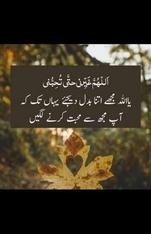 اسلام و علیکم X  فیملی 
کیسے ہیں آپ سب۔ صبح بخیر