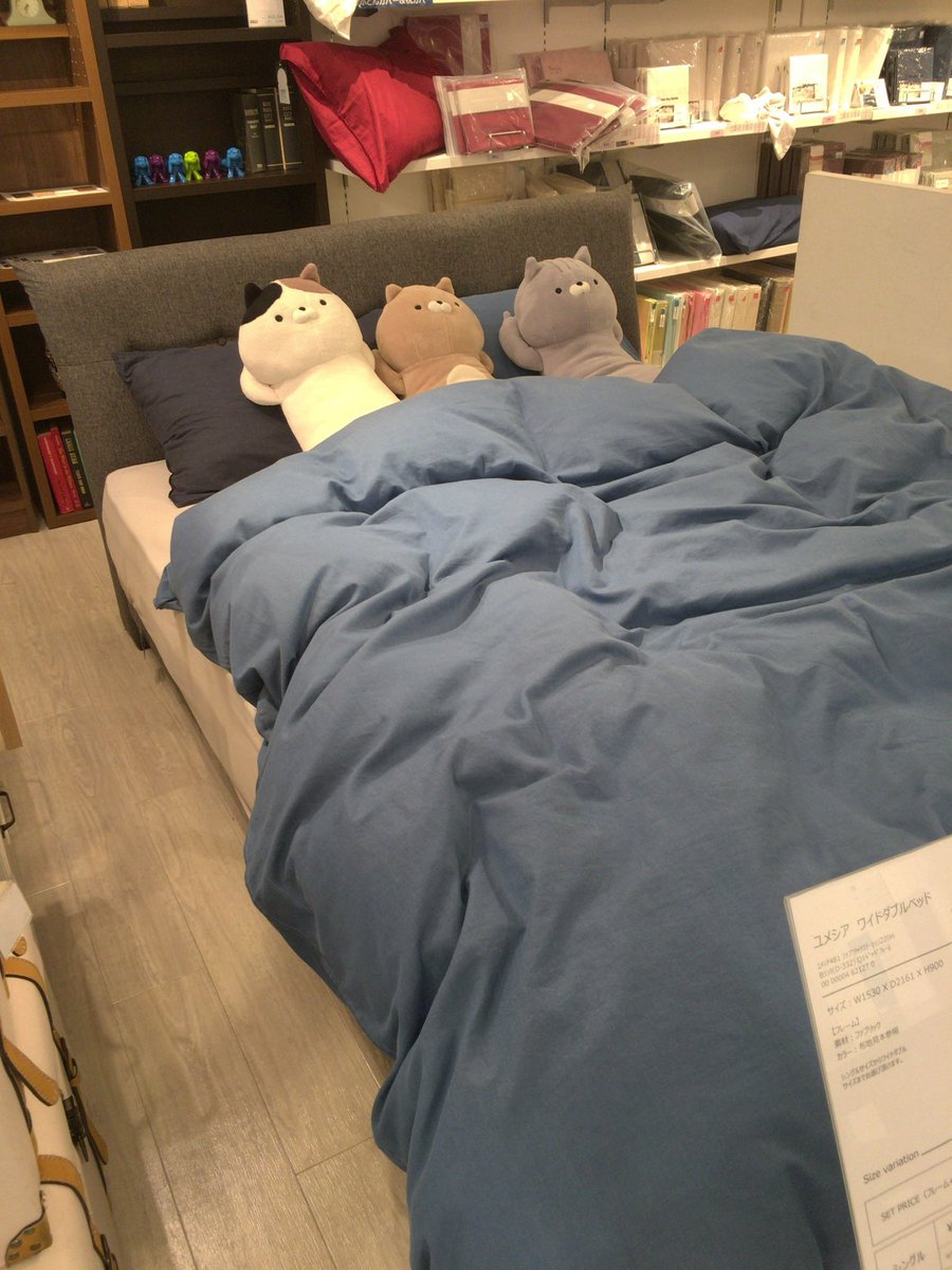 hatarakudoll's tweet image. ベッド売り場　ベッドの寝心地を確かめる猫3匹