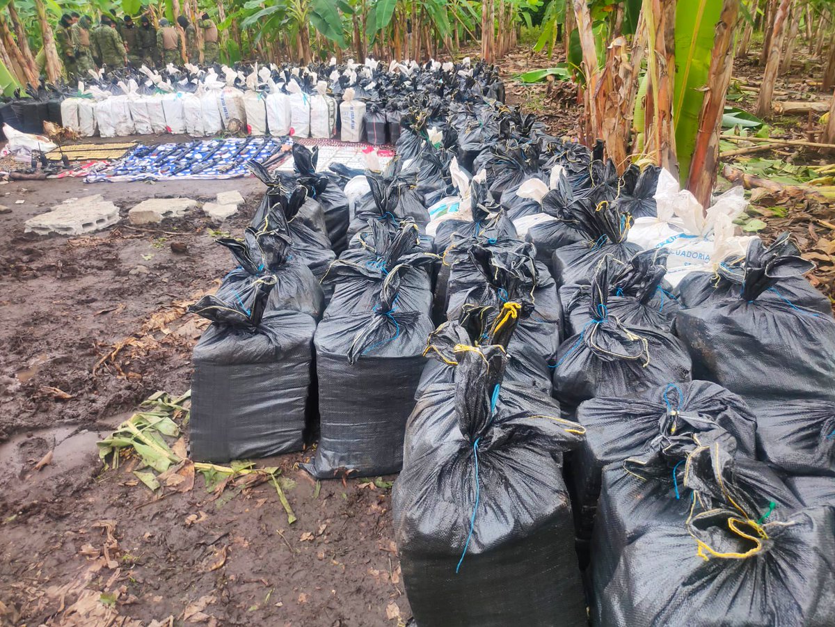 COMBATIMOS AL NARCOTRÁFICO 

Un operativo coordinado con <a href="/FFAAECUADOR/">Fuerzas Armadas del Ecuador</a>, en una hacienda del sector Los Sedros #LosRíos, permite la incautación de unos 300 sacos de yute con aparentemente cocaína y un aproximado de 12 fusiles de fabricación industrial con alimentadoras y más de
