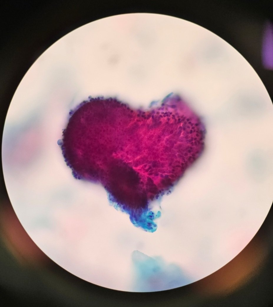 你觉得你足够了解女人吗？ 那么你知道这取于女人身上的哪一个部分吗？