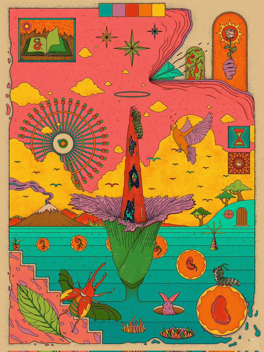 Birds fly in the morning 🕊️