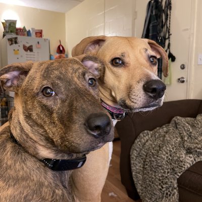 questnot2dream's tweet photo. #NewProfilePic https://t.co/yuz3KZCJJb