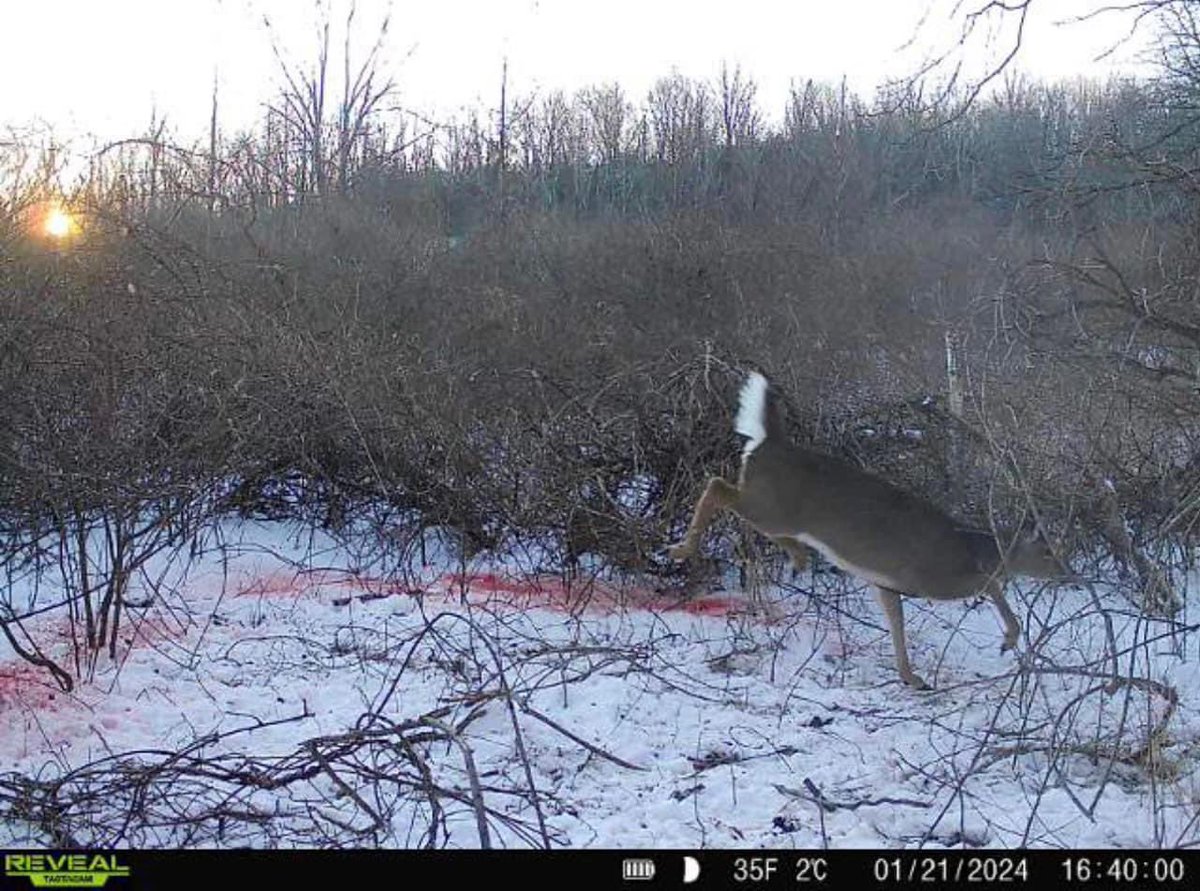 Crazy Pic 😮!!

Photo via Brad Fekula

#ALWAYSONTHEHUNT