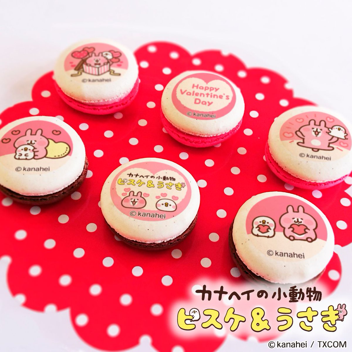 happypriroll's tweet image. 💝#カナヘイの小動物 ピスケ＆うさぎ💝

昨年ご好評頂いた #ピスケとうさぎ や #ねーねーねこ のバレンタインケーキ＆マカロンが復刻登場🍫❤

大切な人へのバレンタインの贈り物やご自身へのご褒美にピッタリのかわいいスイーツです🎀

詳細はコチラ⇨priroll.jp/shopbrand/ct12…

#カナヘイ