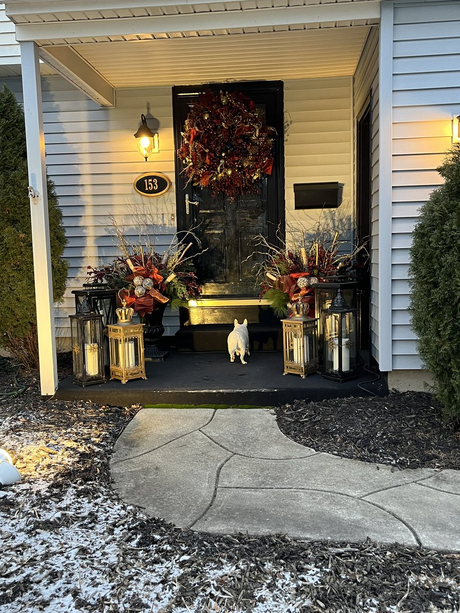 borsawfrenchie's tweet photo. @KatieToppel Does visiting your neighbors count? 🤣🤣🤣❤️❤️❤️ https://t.co/AQP0BeqBFG