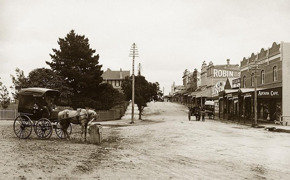 Forest Road, Hurstville in 1907.