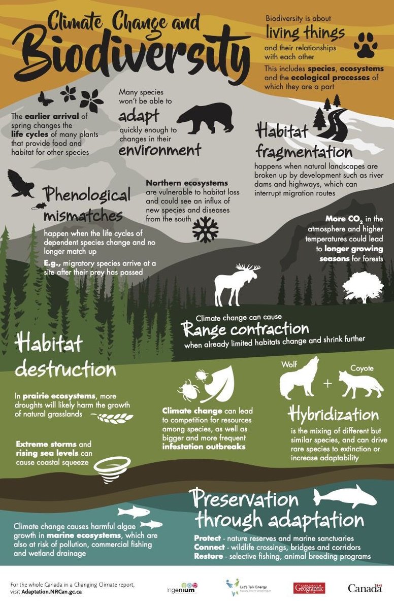 Source: linkedin.com/posts/unbiodiv…