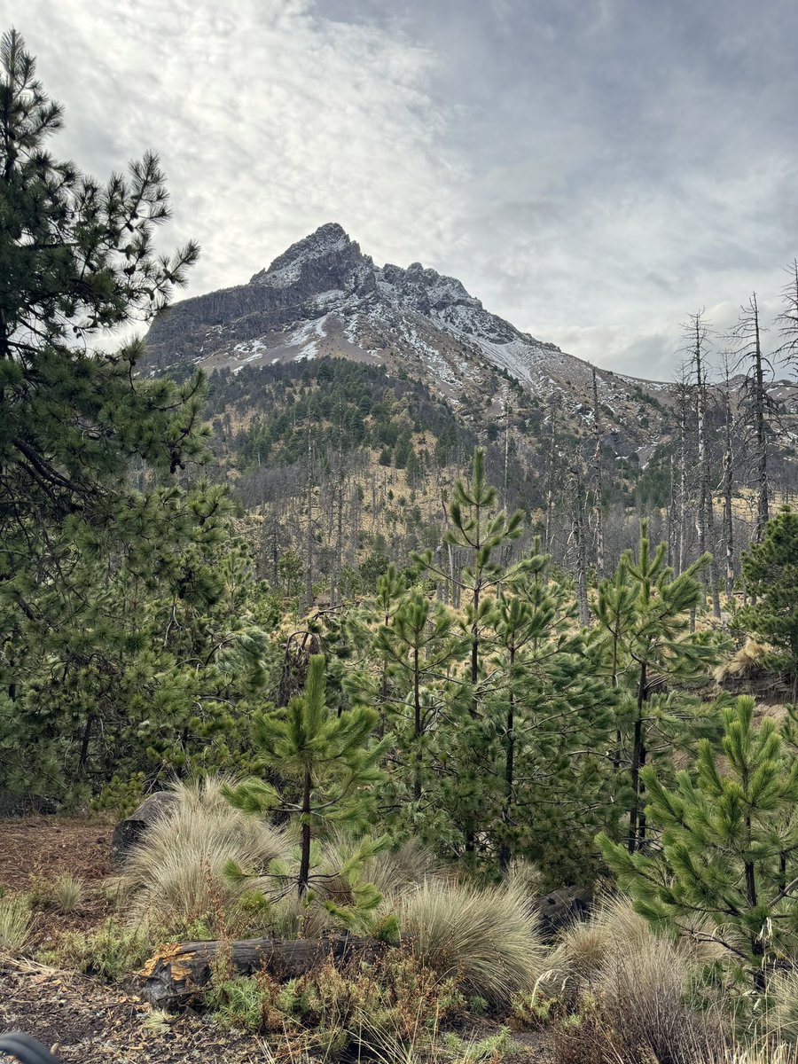 Ivan Valentin tweet media