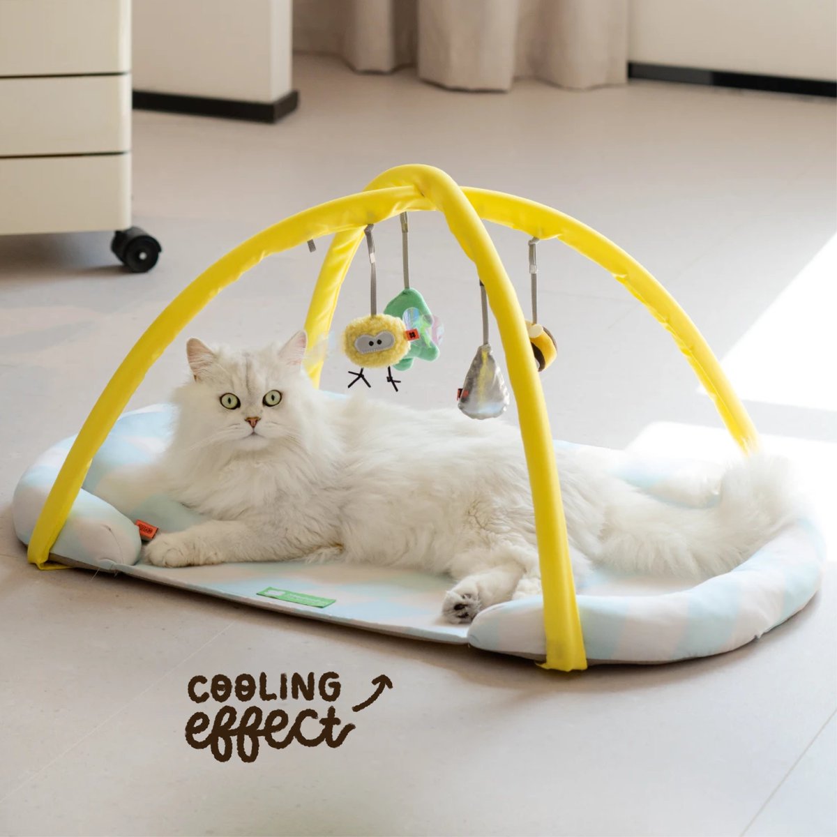 petfriendlys_ph's tweet photo. Enrich your furry babies' lives with our Pet Cooling Activity Mat 🐾 This mat is made with high quality scratch-resistant & waterproof material that also provides a cooling effect to our pet's tummies, ideal for our country's hot weather 🥵☀️#petsupplies #petcare #pettips #catph https://t.co/6Wx5QNX2gl