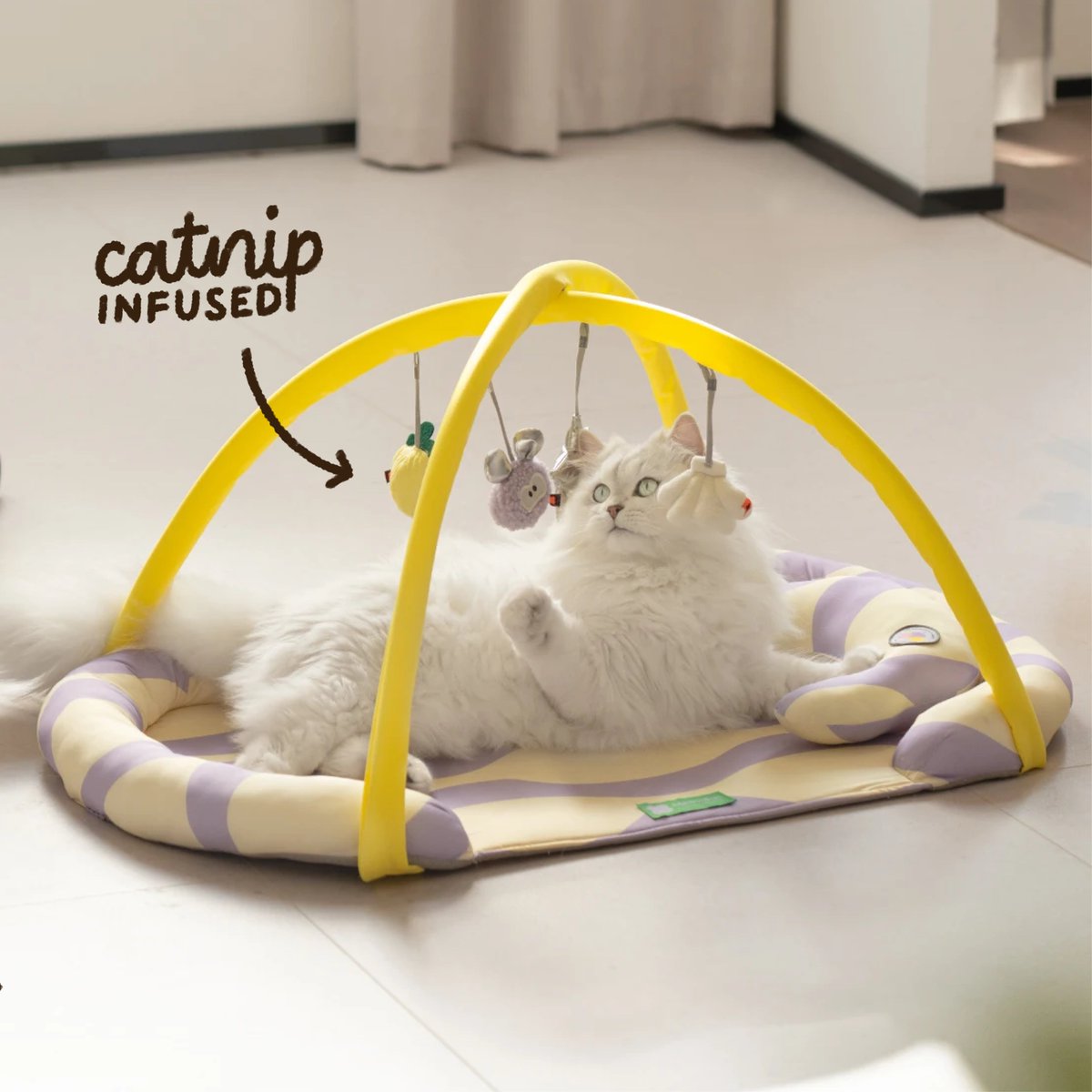 petfriendlys_ph's tweet photo. Enrich your furry babies' lives with our Pet Cooling Activity Mat 🐾 This mat is made with high quality scratch-resistant & waterproof material that also provides a cooling effect to our pet's tummies, ideal for our country's hot weather 🥵☀️#petsupplies #petcare #pettips #catph https://t.co/6Wx5QNX2gl