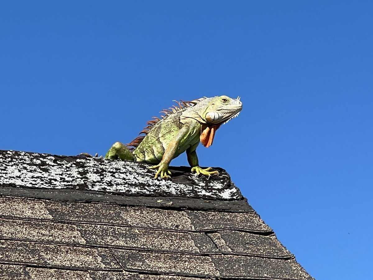 Florida