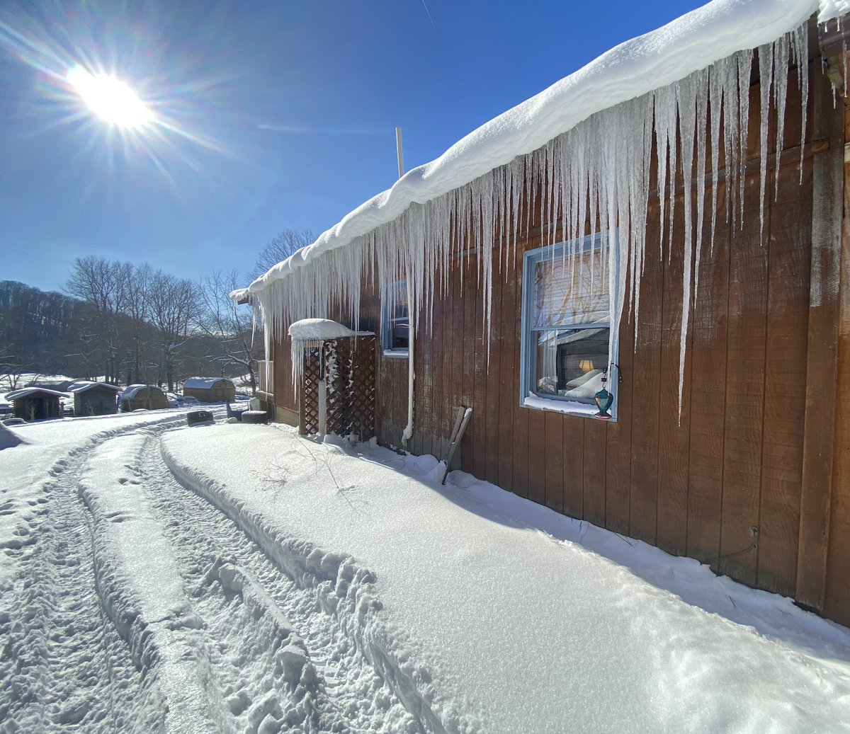 Sun finally came out today! Happy for the animals and look at those icicles! Feeling blessed on “What the Sam Hill Farm!