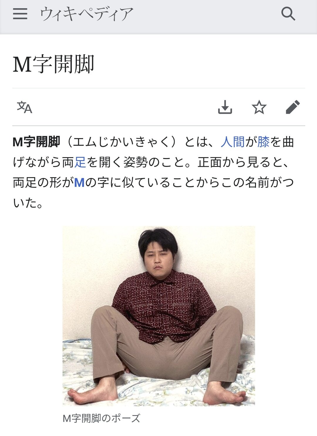 公の場での発言・インタビュー報道記録