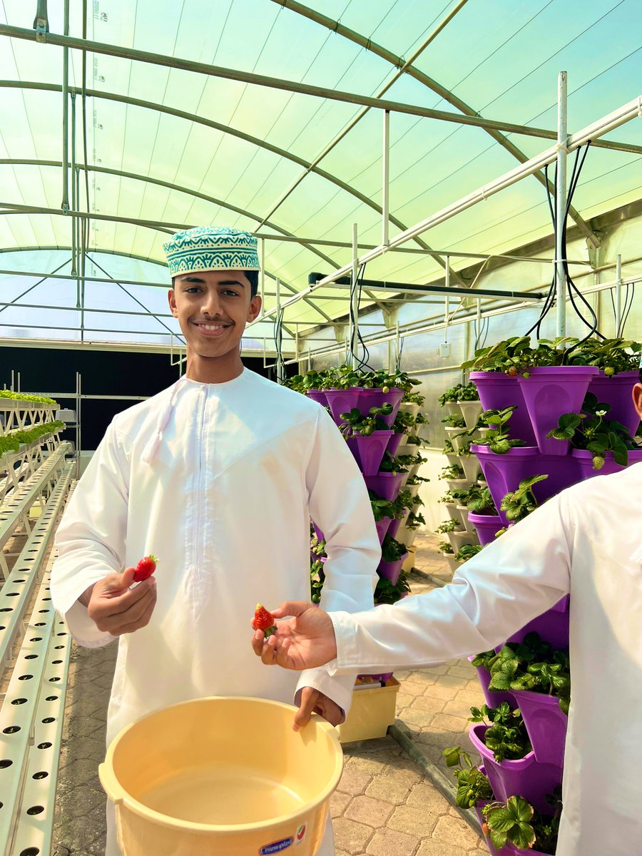 #فراولة الشروق 
# AlSharooq strawberry 
<a href="/HayAlSharooq/">HayAlSharooq</a>