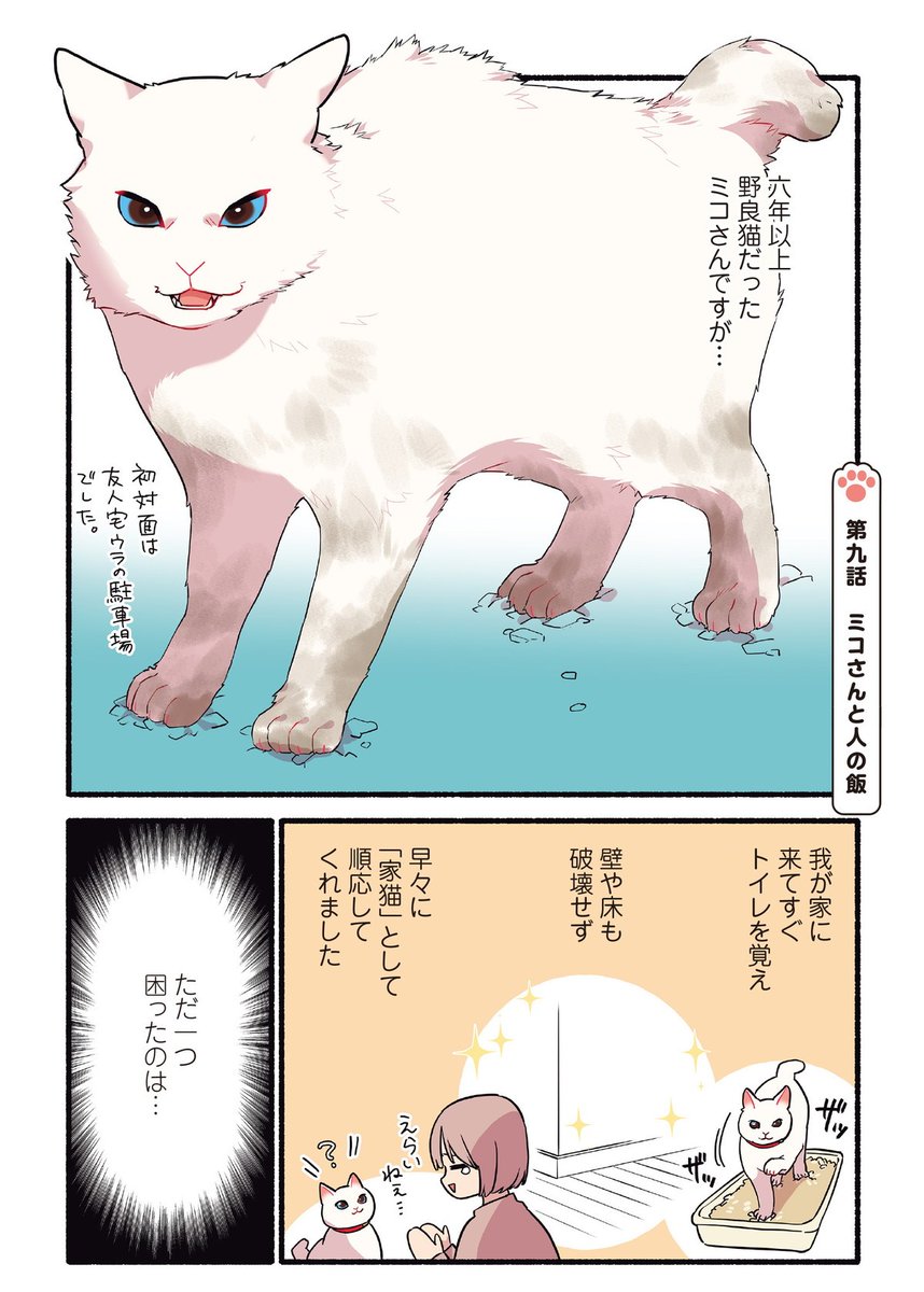 人間の食べ物を奪おうとする元野良猫の話(1/2)  #漫画が読めるハッシュタグ #愛されたがりの白猫ミコさん