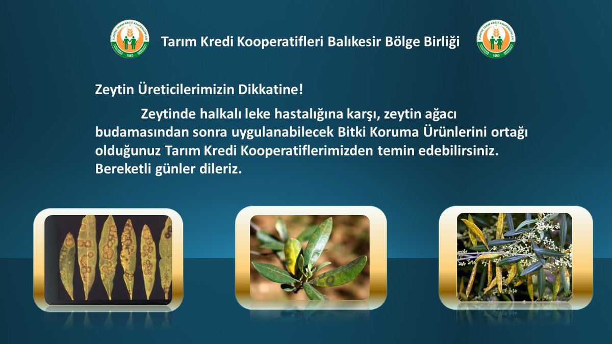 TkkBalikesir's tweet photo. https://t.co/Eu8uCry3Xl