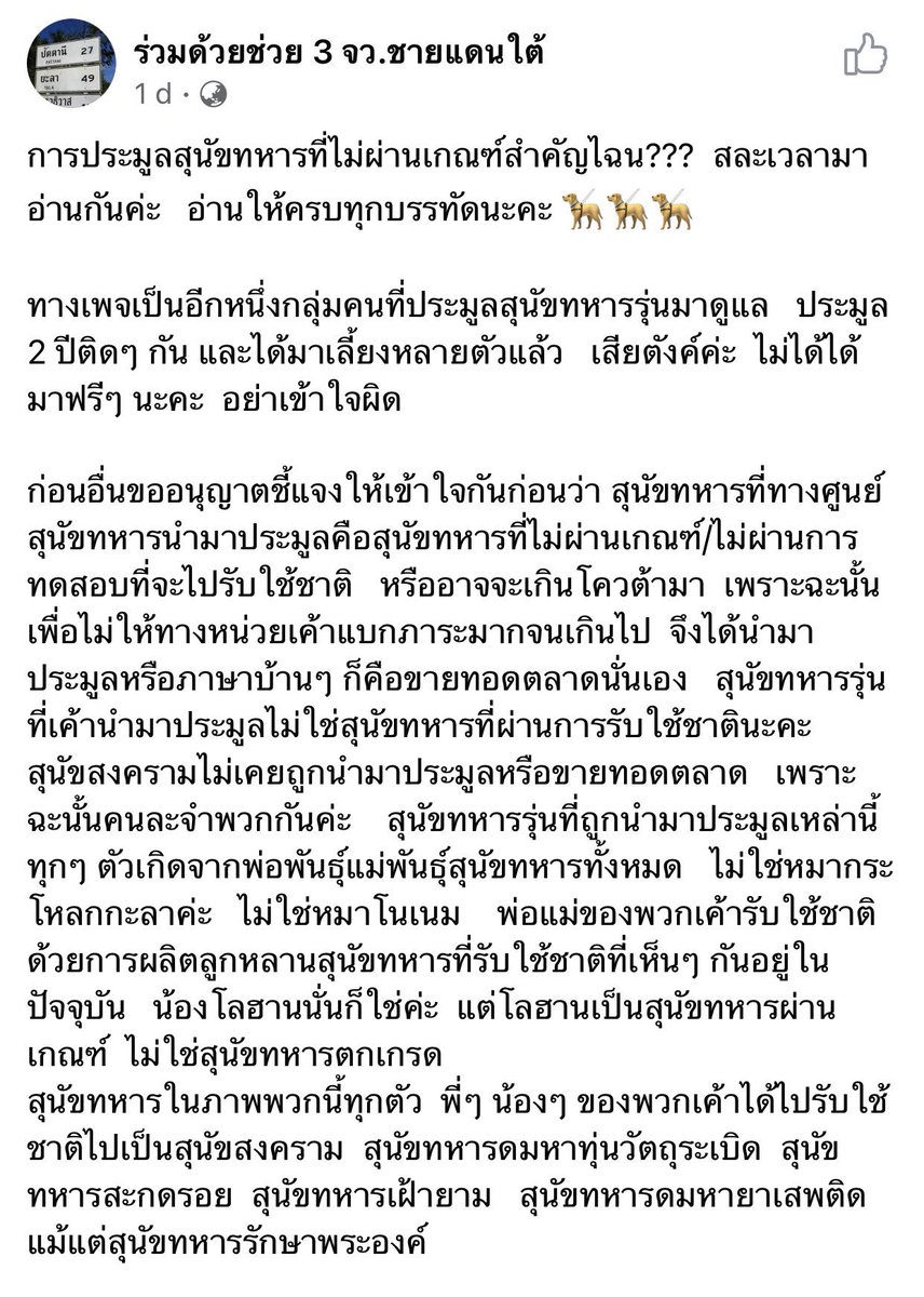 saturday28april's tweet image. ทุกคนช่วยรีเรื่องการประมูลสุนัขทหารที่จะถึงนี้ได้ไหมคะ อยากให้คนที่รักน้องได้น้องไปเลี้ยงจริงๆ เพราะมันมีกลุ่มคนที่เป็นบริษัทค้าเลือดหมามาประมูลน้องเพื่อเอาเลือดไปขาย ทำงานกันเป็นทีมสุดๆ ทางเพจประมูลช่วยออกมาได้เพียงแค่ 12 ตัวจาก 49 อ่านแล้วใจสลายมากๆ