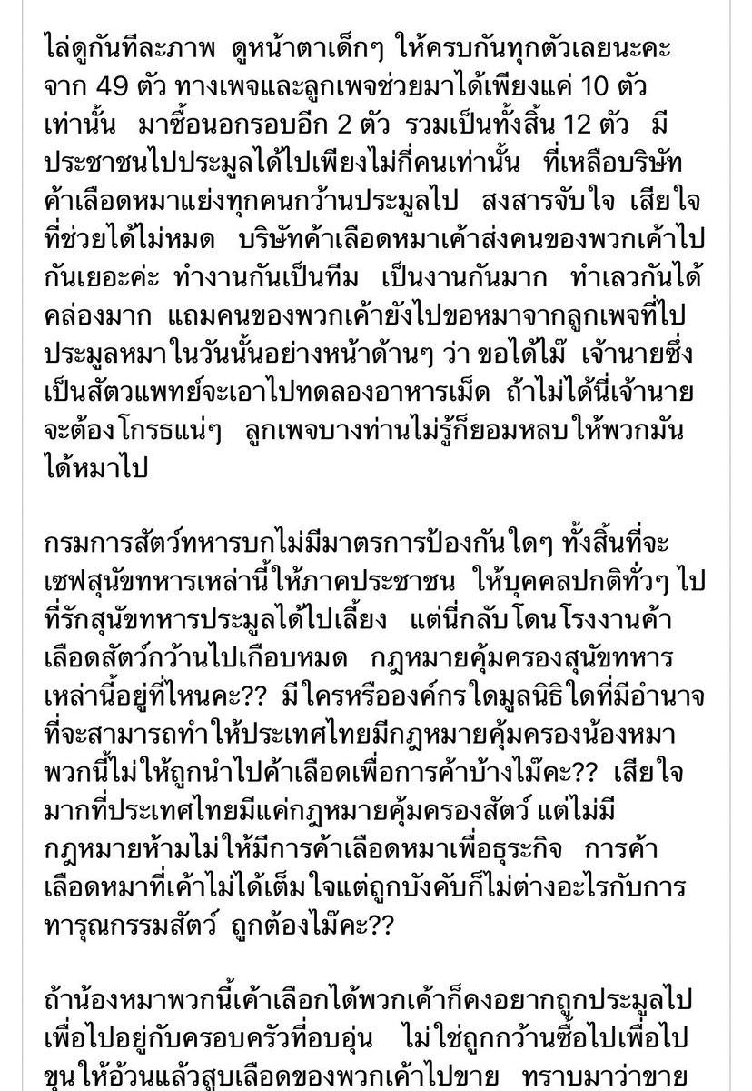 saturday28april's tweet image. ทุกคนช่วยรีเรื่องการประมูลสุนัขทหารที่จะถึงนี้ได้ไหมคะ อยากให้คนที่รักน้องได้น้องไปเลี้ยงจริงๆ เพราะมันมีกลุ่มคนที่เป็นบริษัทค้าเลือดหมามาประมูลน้องเพื่อเอาเลือดไปขาย ทำงานกันเป็นทีมสุดๆ ทางเพจประมูลช่วยออกมาได้เพียงแค่ 12 ตัวจาก 49 อ่านแล้วใจสลายมากๆ