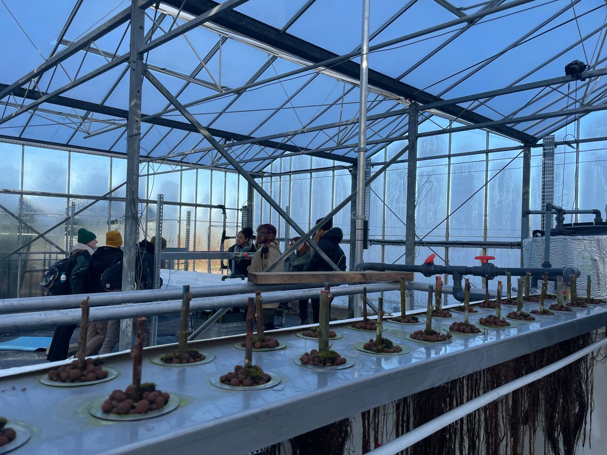 LettUs Grow (@lettusgrow) on Twitter photo Last week we we took everyone up to see our glasshouse site in Bristol.
It was very exciting to hear the plans for the site & learn about what's growing- including these willow cuttings for the <a href="/TAEDATech/">TAEDA Tech Project</a> project.
#greenhouse #aeroponics #glasshouse #agritech #farminguk Last week we we took everyone up to see our glasshouse site in Bristol.
It was very exciting to hear the plans for the site & learn about what's growing- including these willow cuttings for the <a href="/TAEDATech/">TAEDA Tech Project</a> project.
#greenhouse #aeroponics #glasshouse #agritech #farminguk