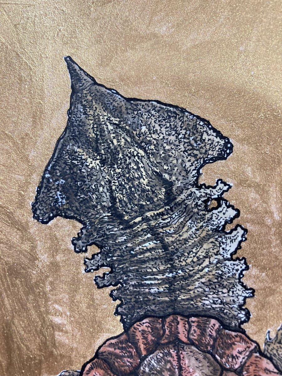 「マタマタのペン画に水彩で色を入れました。背景は箔押しします。」|小田　隆　Oda Takashiのイラスト