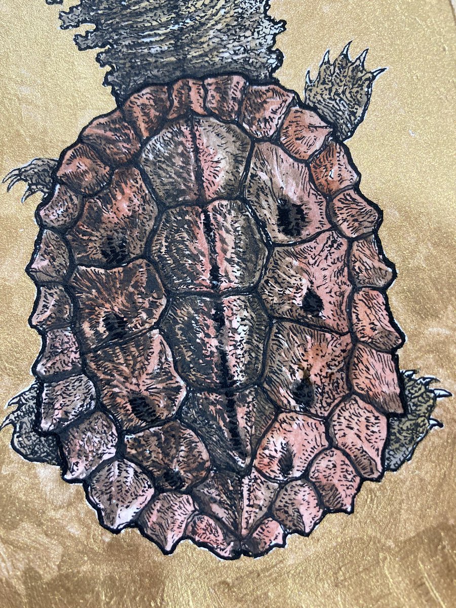 「マタマタのペン画に水彩で色を入れました。背景は箔押しします。」|小田　隆　Oda Takashiのイラスト