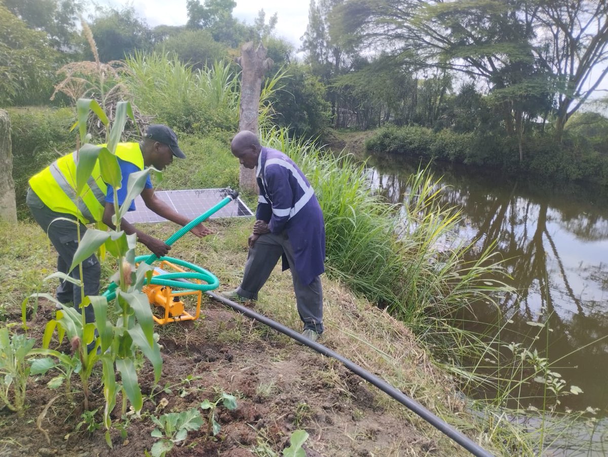 epicenterafrica's tweet photo. Changing lives with the #SunlightPump 🌞 - a game-changer in solar pumping technology. Now, they can effortlessly irrigate crops, provide water for households & animals, all with zero cost and no physical strain. #Transformingcommunities #changinglives #RenewableEnergy https://t.co/IaoIFgENs6