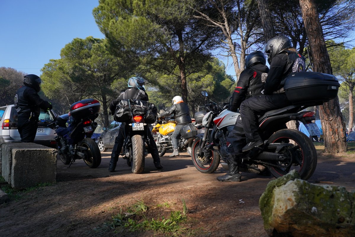 Motauros tweet media