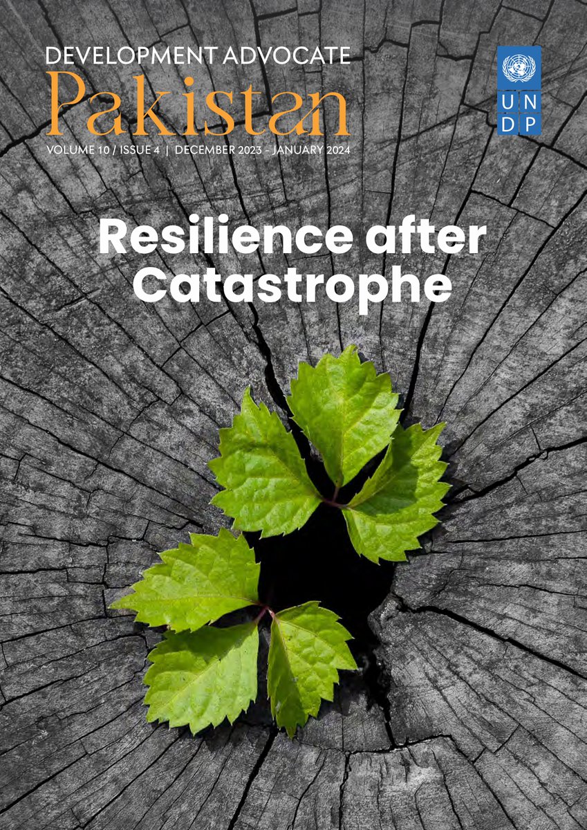 #UNDPinPakistan launches the DAP on 'Resilience after Catastrophe', proposing a rights-based climate & disaster resilience policy framework, w/@samuelrizk @ClimateChangePK @bilal1anwar @aisha4climate @atsheikh @imran2u @sobiahbecker @simisadafkamal @afiasalam @salmanzaidi22…