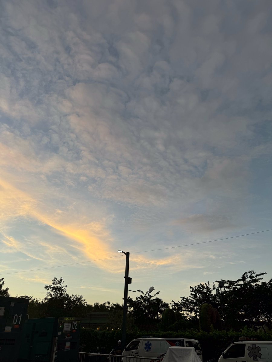 LMKLOOK's tweet image. [240122] 🐯💭