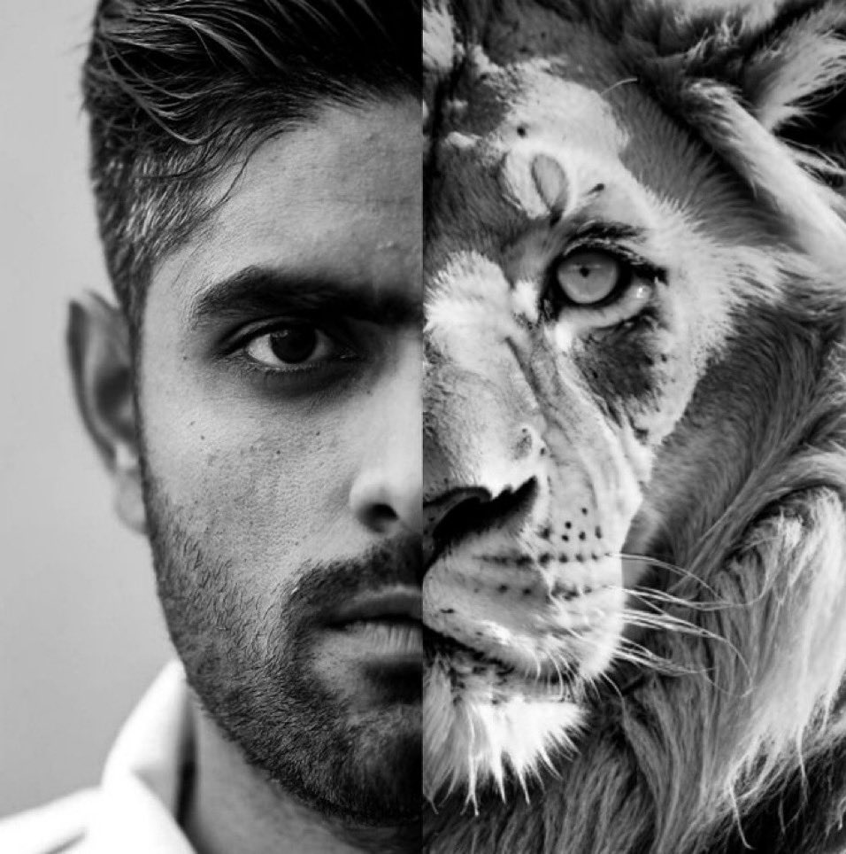 KlausKhan_'s tweet photo. Show me a better edit than this!🦁 

#BabarAzam | #BabarAzam𓃵 https://t.co/diRaCdAppo
