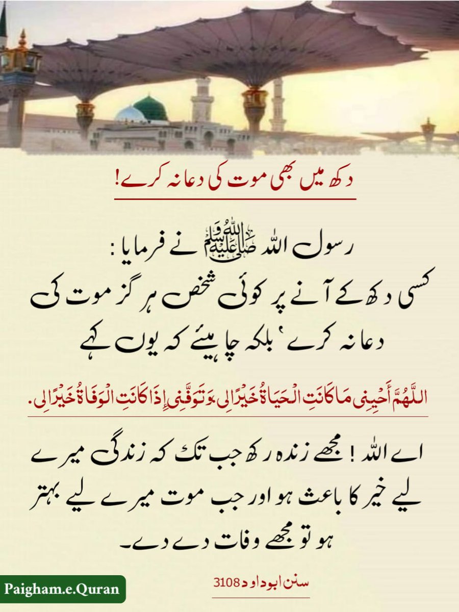 monacious tweet media