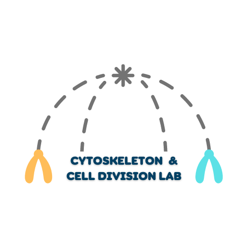 Manna Lab tweet media