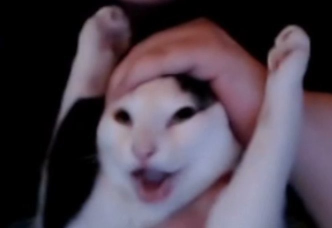 Content from daddyjetta