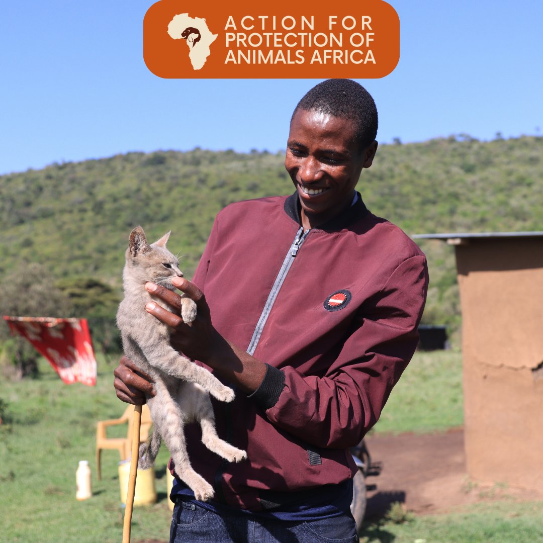 Starting off the week with a dose of pet 🐾 therapy. 🥰 

May your week be filled with laughter, love, and the comforting presence of your furry friends.

#HappyNewWeek #AnimalProtection