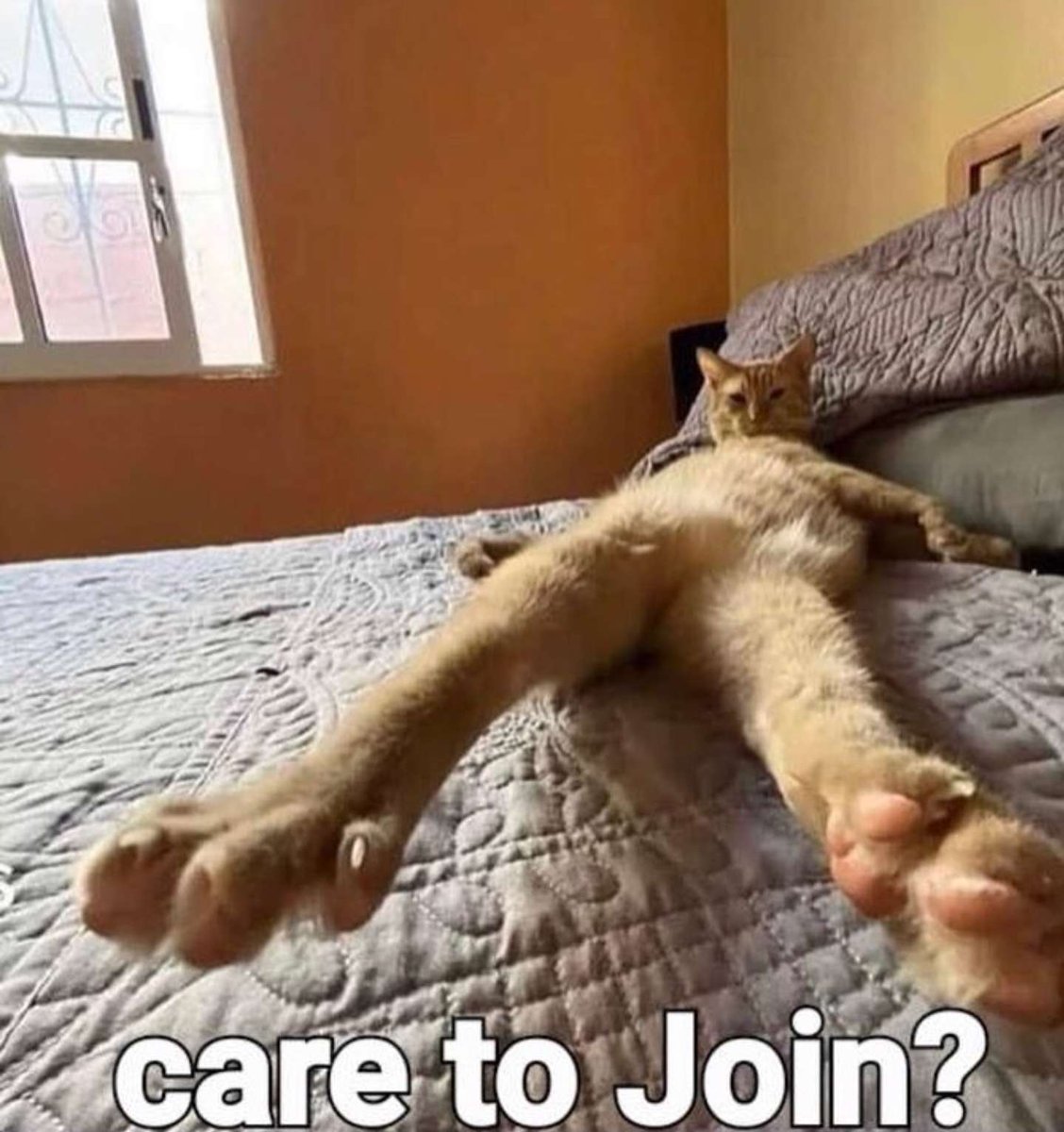 Grey (@graaeme1) on Twitter photo 