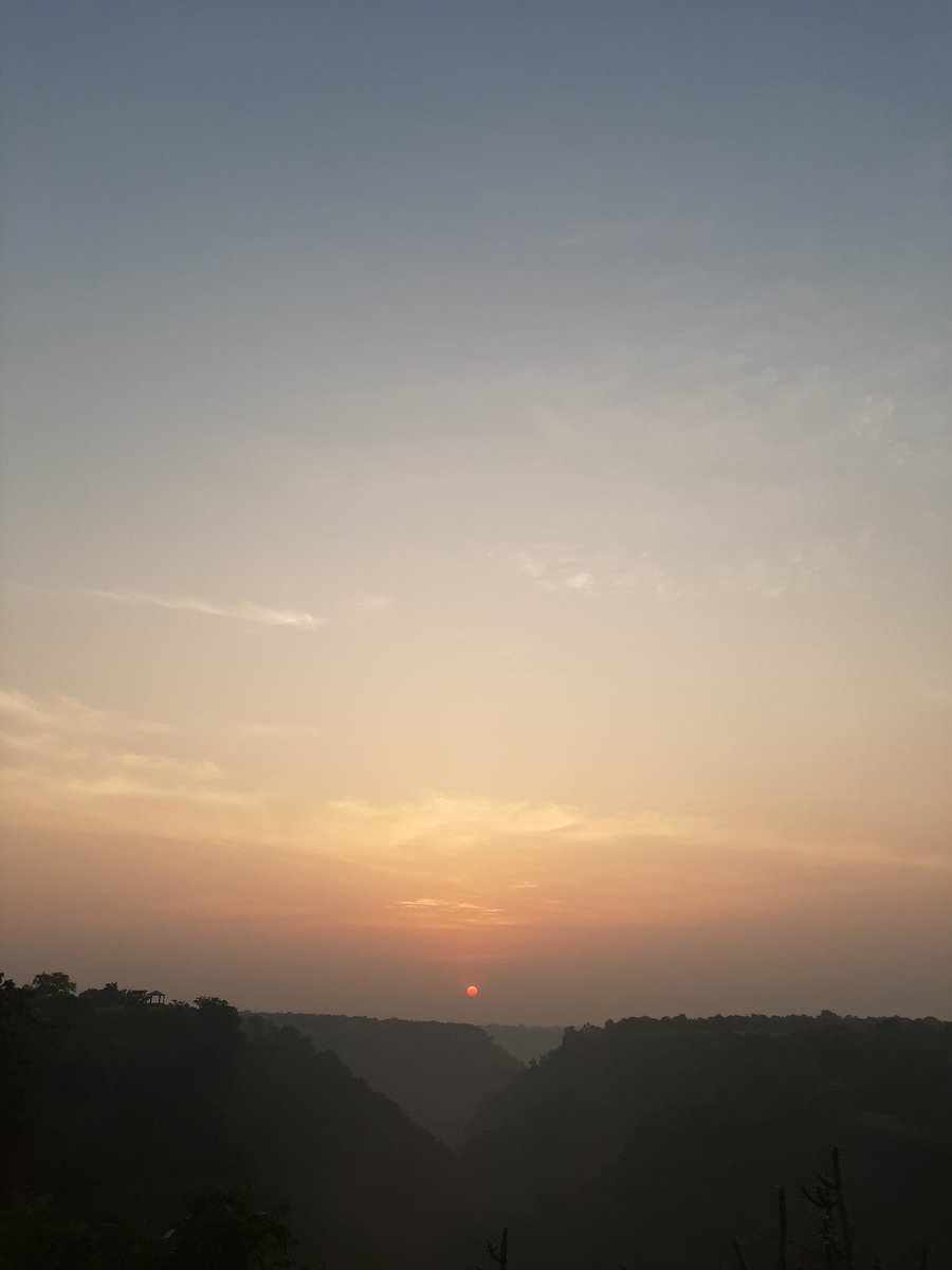 Central DAO tweet media