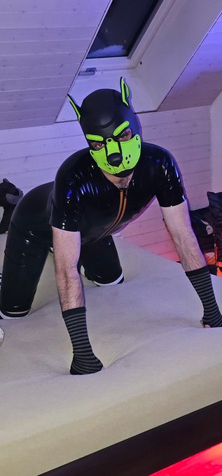 I'm shiny 🤩 #puppyplay #latex  #rubber https://t.co/QKK3gp9DH6<a href="/tag/puppyplay"class="tags">#puppyplay</a><a href="/tag/latex"class="tags">#latex</a><a href="/tag/rubber"class="tags">#rubber</a>