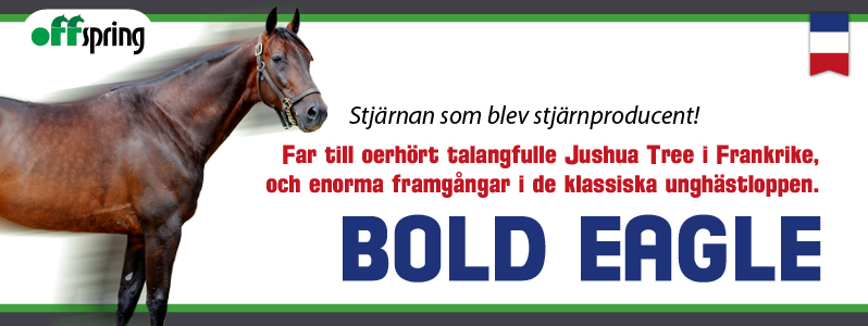 worldtrot.se tweet media