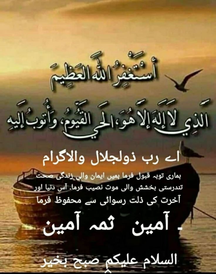 السلام علیکم ورحمتہ اللہ وبرکاتہ❤️