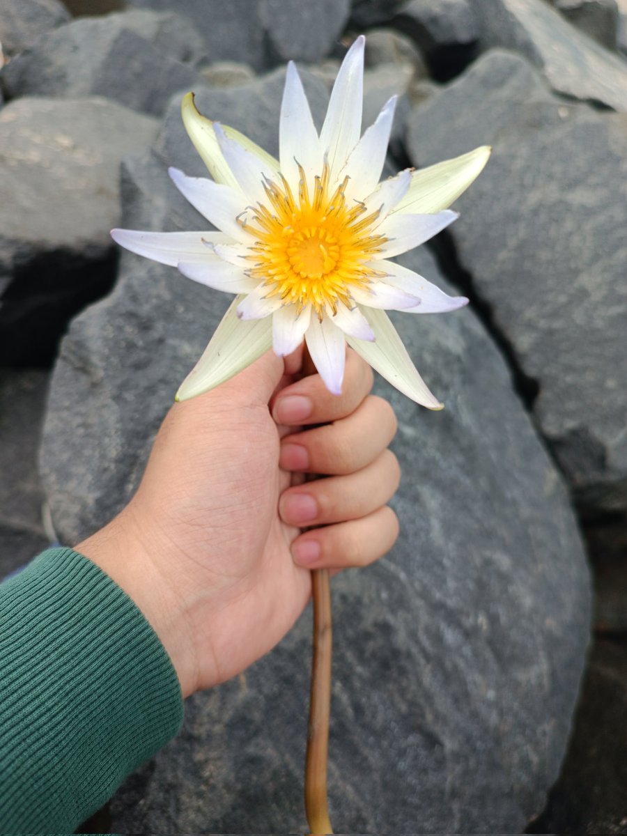 Sivayya 🍉 tweet media