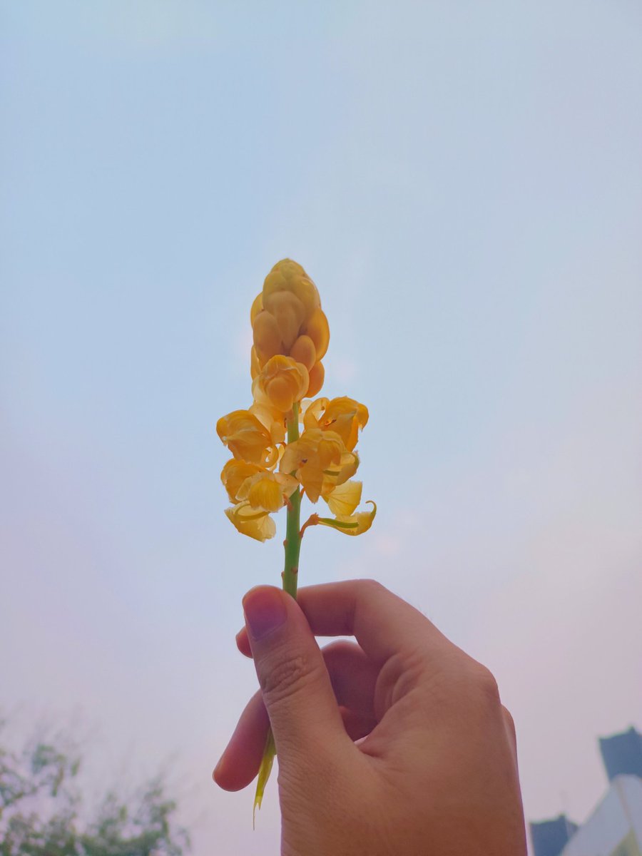 Sivayya 🍉 tweet media