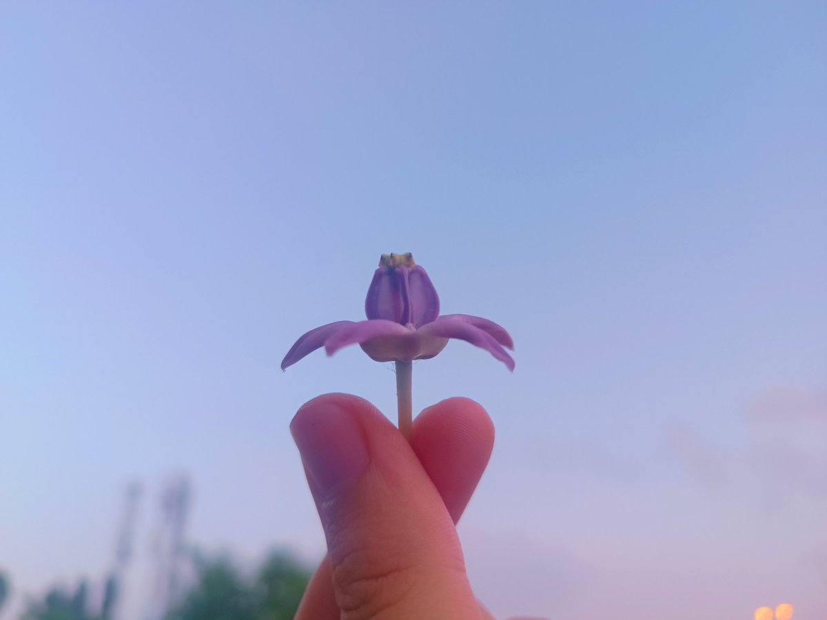 Sivayya 🍉 tweet media