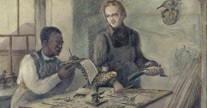 bhmuk's tweet photo. In our exploration of Black history, John Edmonstone's remarkable life stands out. Born a slave in British Guiana, he defied odds, shaping Edinburgh's academic scene and mentoring Charles Darwin." #Blackhistorymonth #BeyondOctober